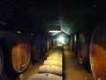 1705ポルトガル～アゼイタオン・わざわざワインセラーまで行ってワイン買うの、悪くない♪&nbsp;写真