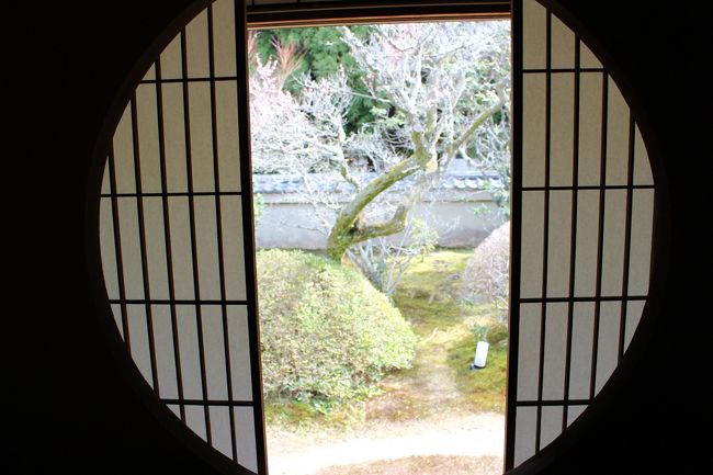 誕生月恒例の日航プリンセス京都　母娘一日二日旅のブログです。<br />お天気も良くとっても充実した旅となりました。<br /><br />このブログがこれから京都へ行く方の参考になれば幸いです。<br /><br />＜旅スケジュール＞<br />*一日目*<br />京阪プレミアムカー<br />淀屋橋10：10発-祇園四条11:00着<br />　　　　　↓<br />祇園四条　貴久政にてランチ<br />　　　　　↓<br />建仁寺　観光<br />　　　　　↓<br />ホテル日航プリンセス京都　チェックイン<br />　　　　　↓<br />錦市場で買い物+ホテル周辺散策<br />　　　　　↓<br />ホテル内　アーバンコートにて夕食（17：30）<br /><br />*2日目<br />都野菜　加茂にて朝食8：00<br />　　　　↓<br />雲龍院　観光<br />　　　　↓<br />勝林寺　座禅　13：00<br />　　　　<br /><br />