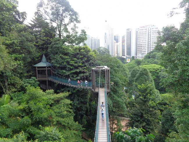 KLフォレスト・エコパーク<br /><br />KLタワー(421m)がそびえる小高い丘、この一帯がマレーシアで最初に保護自然林として登録された森です。<br /><br />9.3ヘクタールの広さを誇る自然林は「KLフォレスト・エコパーク」として無料で開放され、吊橋で渡る歩道は、最も高いところで5階建てのビルと同じ高さです。<br /><br />絶滅危惧種の木々を含む熱帯雨林と、KLタワーや高層ビルを同時に眺めることができる素敵な場所です。<br />