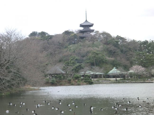 バスは１０時４５分川崎大師を出発。<br />一路国道３５７号を横浜本牧方面へ向って。<br />１１時１０分過ぎには三渓園に。<br />この間の記録は次のＨｏｍｅ　Ｐａｇｅに<br />http://travelingmaki.kilo.jp/home1c/newage8.html<br />