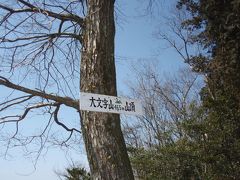 哲学の道、銀閣寺経由で大文字山(2)に登りました