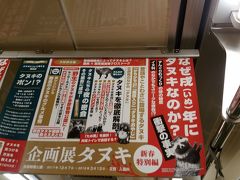 多摩動物公園へ、たぬきに会いに行こう