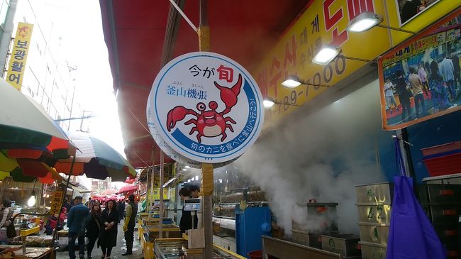 当初はもちろん超弾丸なんて考えてませんでしたよ。<br /><br />往路のチケットを買ってしばらくしたら、何となく旅程を阻むお仕事情報が耳に・・・ん、繋ぎだからいいか~<br />有給も前年分は消化できちゃいそうだし、帰国日程というか帰国日返上旅程が確定したのでした。<br /><br />なもので、目的も見つからず、どこに泊まろうか? とあまり考えずに西面にあるカラーモーテルという宿を予約。<br /><br />が、ホテルズドットコムで予約したにも関わらず、何故かエクスペディアから(実はホテルズドットコムで予約してもいつも現地ではエクスペディアになってるんですけどね)メールが・・・。<br />何々、カラーモーテルが相談したいと言ってるから電話してくれって?<br />いや、電話しないでしょ!<br />仕方がないので、ホテルズドットコムにメールの件を伝えて調べてもらいました。待つこと1週間(その間ホテルズドットコムから何回も電話したけど、英語も日本語も通じないスタッフばかりで時間がかかったとのこと)、調べてくれた相談内容。<br /><br />「私が昨年予約したのは昨年の料金だから、今年の料金との差額15000ウォン払って欲しい」<br /><br />ビックリの相談内容に、ホテルズドットコムさんも、こんなケースこれまで聞いたことがないので、キャンセルをお薦めしますと。聞いてないことにして、しれっと利用してもいいんだけど、そこでハングル語で15000ウォンたかられるのは嫌ですから、即キャンセルして、海雲台のホテルを予約したのでした。<br /><br />短期間なのに面倒なゴタゴタがあって、目的は前夜に決まりました。<br />「釜山機張、今が旬!無料カニシャトルバス運行開始」という情報を目にして、即決でした。<br /><http://bto.or.kr/jp/04_info/01_notice.php?idx=2898&pg_mode=View&bid=jap_gonggi&page=0&sv=&sw=&tid=><br /><br />海雲台なので、無料シャトルは要らないけど、コースが割安で食べられそうな情報があったんですよね。<br />でもね。。。は旅行記の中で・・・。<br />しかも、今帰国して旅行記書いてますが、この後お仕事です。<br /><br />今回の航空券<br />ロマン海道伊良部島マラソン用に購入した釜山→成田・羽田→那覇→羽田・成田→釜山の最終区間(475,500ウォン(エコノミー(L)))+国内線変更手数料5,000円<br />の最終区間(このチケットはいろいろありましたね~(笑))<br />GWうちなー計画用に購入した釜山→成田・羽田→那覇→羽田・成田→釜山の最初の区間(468,600ウォン(エコノミー(L))<br /><br />41,360+1,728=43,088FOP