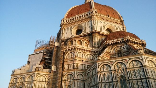 夏の日が長い時期にヨーロッパに行ってみたく、欲張ってイタリア・ドイツを周遊しました。かなり慌ただしい旅行になりましたが、満足しました。美術に興味はないですがフィレンツェの景色を見たいため強引にフィレンツェも組み込みました。<br /><br />7/17 関空→フランクフルト経由ローマ<br />7/18 ローマ観光<br />7/19 AMローマ　PMフィレンツェ<br />7/20 フィレンツェ→フランクフルト経由ローテンブルク<br />7/21 AMローテンブルク PMハイデルベルク<br />7/22 ハイデルベルク→ケルン→デュッセルドルフ<br />7/23 東京経由伊丹