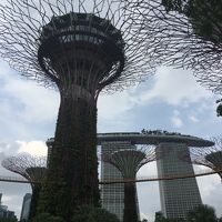 どんな旅先でも意味はあるin Singapore