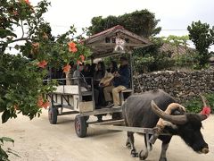 年末年始に石垣島と竹富島へ娘と二人旅