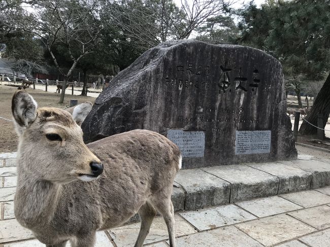 実家(大阪)に用事があったので、<br />そのついでに奈良に日帰り旅行へ。<br /><br />小学校の遠足以来、約20年ぶりの訪問。<br />奈良の良さが分かる歳になったと感じた旅でした。