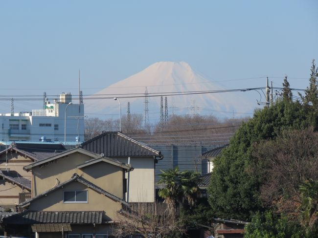 3月12日、午前8時20分頃に久しぶりにふじみ野市より素晴らしい富士山が見られました。　3月9日に降った雪で富士山は真っ白くなっていました。<br /><br /><br /><br />*写真は久しぶりに見られた富士山