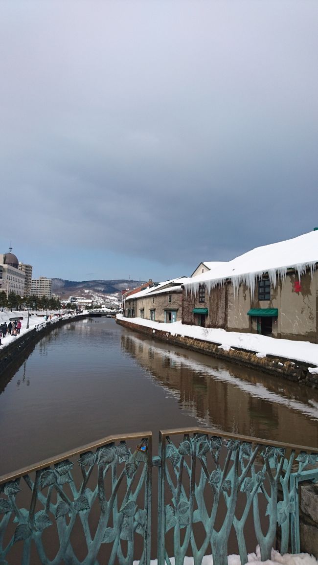 3月4日 北海道最終日。<br />昨晩のお宿はドミトリーL 男女別相部屋式宿です。<br />オーナーひとりで運営している小さな宿ですが、顧客満足度が高く<br />韓国、台湾、中国、アジアから人が集まるお宿です。<br />1泊朝食付きで年中5000円というのも魅力です。<br />今日は、13:00に小樽を離れます。<br />ぶらぶら市内観光をして、空港へ移動となりました。