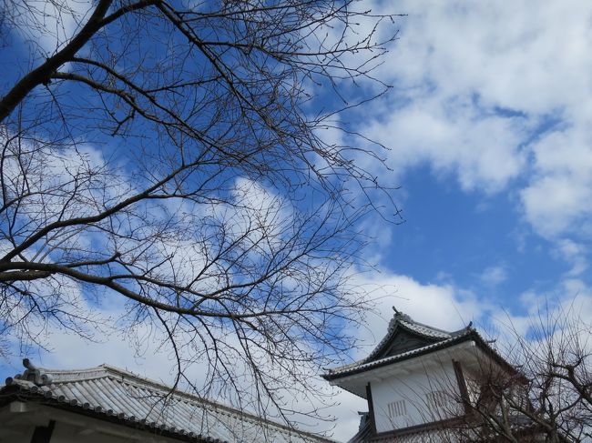 ２泊３日ではありますが日帰りで能登島まで行ったりと、内容の濃い旅行でした。<br />ただ、ツレがスマホをなくしたり、能登島マラソン開催日と重なってしまったため、いろいろなハプニングが起こってしまいましたが、石川の方々、タクシー会社の方々の親切さに救われました。<br />石川に足を向けて寝れません。<br />もっと見たいところがあるのでまた行きたいです。<br /><br />金沢はバスの本数が多く、周遊フリーパス（右回り、左回り、兼六シャトルバス、その他バスに乗れる）がとっても便利でした。さすが観光が充実しています。<br /><br />2日目はこちらをご覧ください。<br />http://4travel.jp/travelogue/11338397<br />3日目最終日はこちらをご覧ください。<br />http://4travel.jp/travelogue/11338613<br />