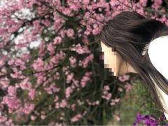 18 3月春 Lcc スクートで行く１歳児の赤ちゃん連れ台湾ツアー旅行記vol 1 ずっと行ってみたかった 台湾ランタンフェスティバル２０１８ In嘉義編 嘉義 台湾 の旅行記 ブログ By ます子さん フォートラベル