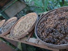 お初バリ島ウブド一人旅2日目後編