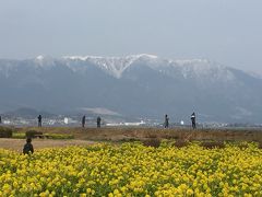 関西④３日目　琵琶湖マリオットの朝食ビュッフェ　葉の花と雪山