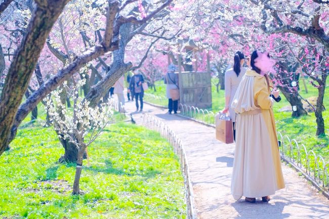 昨年3月15日に京都に来て<br />御金神社<br />(「おかね」じゃないよ。「みかね」だよ。)<br />に行き、「福財布」なる物を購入しました。<br />効果は1年との事だったので1年後に返納し、新しい福財布を買おう！<br />と1年前から2018年3月14日に来ることを決めていました。<br />折しも本日妹子のお誕生日。<br />いつも何でも忘れてしまう私ですが、妹子の誕生日頃、と覚えていたので(14日に行く予定か、15日に行く予定かは覚えていられなかった…なのであくまでも「誕生日頃」)無事に予定を空けて返納に行く事が出来ました。<br /><br />梅の季節なので旅のスタートは・北野天満宮<br />近くにある全国の平野さんの聖地？・平野神社<br />タマゴサンドで有名な・マドラグに行くも、まさかの2時間待ち<br />代わりに近くの・プチメックでパンランチ<br />・先斗町駿河屋さんのわらび餅を買い<br />・あのんでアンポーネを買い<br />ブラブラしながら・サロン・ド・ムゲへ<br />ブラブラしながら・茶房こいしで春こいしパフェを食べ<br />偶然見つけた・狐の嫁入りを見て帰宅<br /><br />そんな一日です。