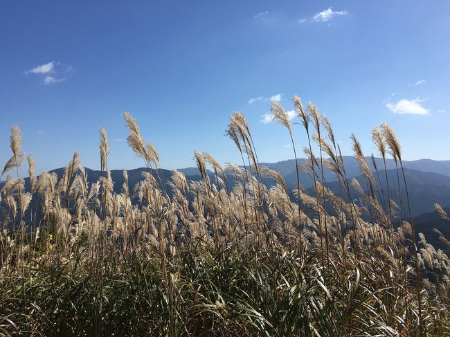 すすきで有名な奈良県の曽爾高原へハイキングに行ってきました。<br />