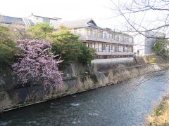 初めての伊東温泉への旅③松川遊歩道を散策する