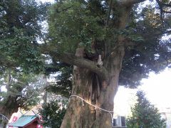 初めての伊東温泉への旅④音無神社及び日暮八幡神社を訪問