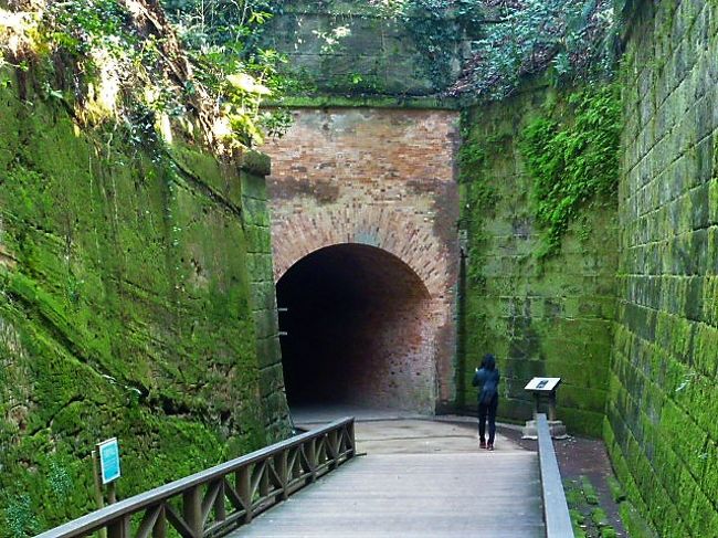 3月 春の訪れ 猿島 横須賀 神奈川県 の旅行記 ブログ By Ud Bfさん フォートラベル 3月 春の訪れ 猿島 横須賀 神奈川県 の旅行記 ブログ By Ud Bfさん フォートラベル
