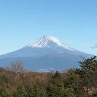 修善寺旅行 お正月