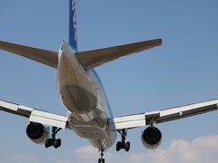 迫力の着陸機を、千里川土手で