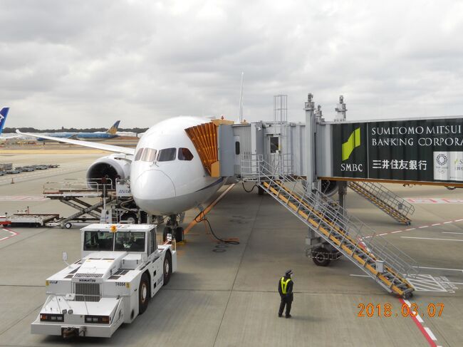 今年3月、妻と一緒にスペイン（バルセロナ、マドリード）を旅行しました。<br />初めてのスペインで、不安でしたが、旅行を満喫して無事に帰ってくることが出来ました。<br /><br />■■１日目（２０１８年３月７日　水曜日）■■<br />成田空港からＡＮＡ（ＮＨ２０９）にてデュッセルドルフ空港へ、デュッセルドルフ空港からはユーロウイングス（ＥＷ９４４２）にてバルセロナ空港へ移動しました。<br />バルセロナ空港から空港バスにてカタルーミャ広場へ移動し、カタルーミャ広場からは徒歩でホテルへ移動しました。<br />ホテルで少し休んだ後、地下鉄Ｌ３、Ｌ５を乗り継いでサグラダ・ファミリアへ。<br />サグラダ・ファミリアの夜景を観光しました。<br /><br />-------------------------------------------------------------------<br />【今回のスケジュール】<br />・１日目（３月７日（水曜日））<br />　ＹＣＡＴ→成田空港（空港バス）<br />　成田空港→デュッセルドルフ空港（ＡＮＡ　ＮＨ２０９ ）<br />　デュッセルドルフ空港→バルセロナ空港（ＥＷＧ　ＥＷ９４４２）<br />　バルセロナ空港→カタルーニャ広場（空港バス）<br />　カタルーニャ広場→ホテル（徒歩）<br />　バルセロナ市内観光<br />　≪バルセロナ泊≫<br />https://4travel.jp/travelogue/11339110<br /><br />・２日目（３月８日（木曜日））<br />　バルセロナ市内観光<br />　≪バルセロナ泊≫<br />https://4travel.jp/travelogue/11340431<br /><br />・３日目（３月９日（金曜日））<br />　バルセロナ市内観光<br />　≪バルセロナ泊≫<br />https://4travel.jp/travelogue/11346662<br /><br />・４日目（３月１０日（土曜日））<br />　カタルーニャ駅→バルセロナ・サンツ駅（レンフェ近郊線）<br />　バルセロナ・サンツ駅→マドリード・アトーチャ駅（ＡＶＥ）<br />　マドリード・アトーチャ駅→ベナベンテ（市内バス）<br />　マドリード市内観光<br />　≪マドリード泊≫<br />https://4travel.jp/travelogue/11348512<br /><br />・５日目（３月１１日（日曜日））<br />　マドリード市内観光<br />　≪マドリード泊≫<br />https://4travel.jp/travelogue/11348520<br /><br />・６日目（３月１２日（月曜日））<br />　マドリード市内観光<br />　チルソ・デ・モリナ→マドリード・アトーチャ駅（市内バス）<br />　マドリード・アトーチャ駅→バルセロナ・サンツ駅（ＡＶＥ）<br />　バルセロナ・サンツ駅→カタルーニャ駅（レンフェ近郊線）<br />　カタルーニャ広場→ホテル（徒歩）<br />　≪バルセロナ泊≫<br />https://4travel.jp/travelogue/11348530<br /><br />・７日目（３月１３日（火曜日））<br />　バルセロナ市内観光<br />　ホテル→カタルーニャ広場（徒歩）<br />　カタルーニャ広場→バルセロナ空港（空港バス）<br />　バルセロナ空港→ブリュッセル空港（ＢＲＵ　ＳＮ３７０４）<br />　ブリュッセル空港→成田空港（ＡＮＡ　ＮＨ２３２）<br />　成田空港→ＹＣＡＴ（空港バス）<br />https://4travel.jp/travelogue/11348538