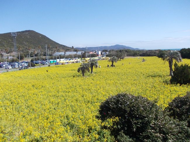 上の子供が温泉が大好きになって、温泉に行きたいとせがみます。（笑）<br />親も誘っての３世代家族での温泉旅行に行ってきました。<br />金曜日に午後休を取って、子供たちが幼稚園から帰ってきたら出発です。<br />こうすることでホテルをお得に利用できます。<br />近場の温泉で子供が喜ぶバイキングスタイルが良いですね。<br />ということで、浜名湖のホテルＴＨＥ　ＯＣＥＡＮに泊まりました。<br />部屋が広くて良かったですし、ご飯もおいしかったです。<br />二日目は朝からイチゴの直売で新鮮なイチゴを手に入れ、<br />伊良湖の菜の花畑で遊んで、おいしい伊良湖グルメをいただきました。<br />午後からはのんほいパークで動物と小さな遊園地で子供は大満足でした。