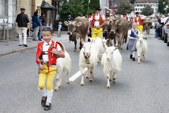 山のマキバからお帰りなさい！牛・牛・牛、牛の行列Alpabzug　秋の風物詩ドイツ・スイスの旅8-1