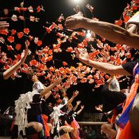 藤枝・岡部・焼津の旅（一日目・夜）～大井八幡宮の祭り、藤守の田遊びは大井川の水害に悩まされながらもその豊かな恵みを受けてきたこの地の伝統の舞。華やかな装飾がライトアップされて、夜の境内に鮮やかに浮かび上がります～