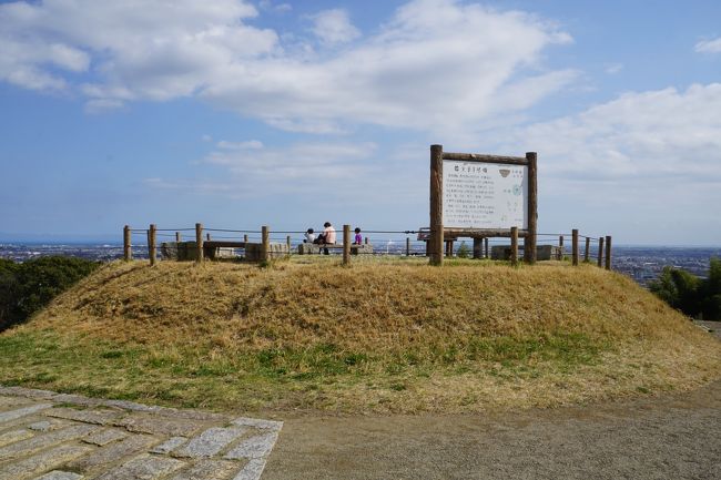 今回の旅は二日間。焼津に「藤守の田遊び」という伝統行事があって、それをどうしても見たくなったんですね。ただ、調べると焼津といってもかなり不便な場所で、車じゃないと行けないよう。で、レンタカーを借りることにしたんですが、それなら、ついでに旧岡部宿のひな祭りとかも組み合わせてと企画したのが今回の旅。<br />12月の旅では静岡市とその周辺の探索をして、ようやく頭の整理ができたところだったんですが、改めて、やっぱり静岡県は広いというのが実感。今回の旅のエリアもそんなに静岡市と離れてはいないのに、それでも未知のことだらけ。どれだけ静岡って懐が深いんだという感じです。<br /><br />ただ、それはそれとして。本日の旧藤枝宿は、東海道53次の22番目の宿場。JR藤枝駅からだと基本バスになるので、アクセスは決していいとは言えません。そして、旧東海道沿いの市街は、それなりに賑やかな商店街となっていますが、その一本北とかの若一王子神社のある通りもさらに古い東海道の筋だったりするし、蓮華寺池公園という美しい公園もある。少し視野を広くしないと藤枝の全体は見えてこないように思います。<br />また、老舗の和菓子屋さんがたくさんあるのもたぶん宿場町の名残り。ひな祭りの期間中で、通り沿いのお店にはひな人形が飾られていたりして、やっぱりなにか伝統の力も感じることができたように思います。