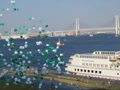 ダイヤモンドプリンセスで西日本巡り　その2　富士山とクルージング