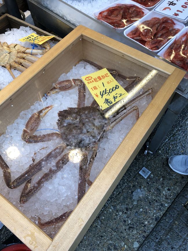 食が絡まないとなかなか動けない我が家。<br />カニ食べたい~という事で日帰りで城崎温泉まで行ってきました。<br /> 近頃はそろそろ冬も終わりかな。と思っていたけれど、城崎温泉は風雪で温泉で温まってもやっぱり寒かったです。<br /> カニと温泉、雪景色と三拍子揃った城崎温泉日帰り旅です。<br />
