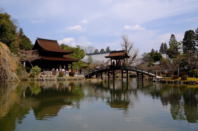 「1年に一度だけの御開帳!二つの国宝が並ぶ虎渓山・永保寺と杉原千畝記念館」のなごやんツアーに参加しました。今回は約20名の参加で名古屋駅西口をバスで出発。<br />1時間チョイで多治見修道院に到着。多治見観光ボランティアガイドさんの出迎えで3グループに別れ修道院の説明をお聞きしながらまわりました。<br />虎渓山・永保寺は3月15日、年1日だけの御開帳です。国宝の開山堂、観音堂が一般公開されて御本尊、観世音菩薩像、永保寺開創の夢窓国師および開山仏徳禅師の頂相が安置されていて見ることができました(撮影OKです)<br />昼食は近くの「円茶寮」で創作料理を堪能、道の駅「可児ッテ」で<br />お買い物、約6千人もの尊い命を救った外交官で、その人道的な功績を讃える「杉原千畝記念館」に寄りました<br />
