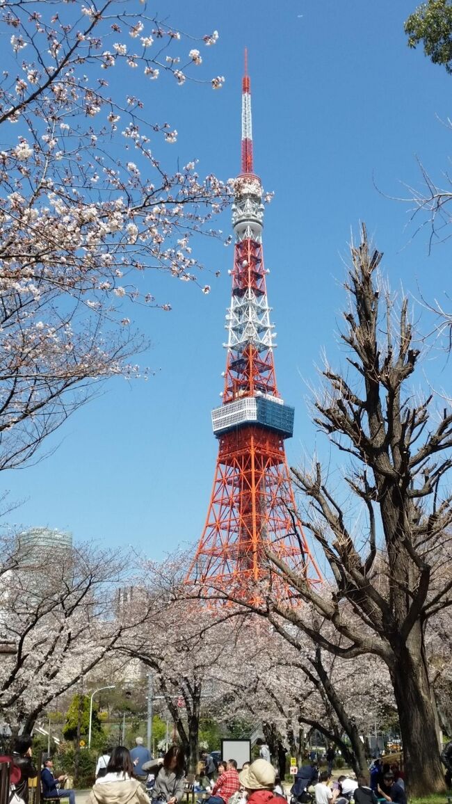 2018年3月25日(日)阪急トラッピクス主催の日帰りバスツアー<br />「都内桜名所&お花見クルーズ良いとこどりよくばり10景めぐり」<br />に参加しました。その1日の旅行記です。<br /> 行程は以下の通りです。西船橋発 8:00→①隅田公園②隅田川お花見クルーズ③芝公園④六本木さくら坂⑤毛利庭園⑥目黒川⑦靖国神社⑧千鳥ケ淵⑨神田川⑩上野恩賜公園→西船橋