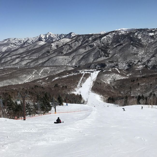 奥志賀高原スキー１泊２日 最高のお天気 奥志賀高原ホテル グランフェニックス クリスチャニア 志賀高原ビール等 湯田中渋温泉郷 志賀高原 長野県 の旅行記 ブログ By 白麟さん フォートラベル