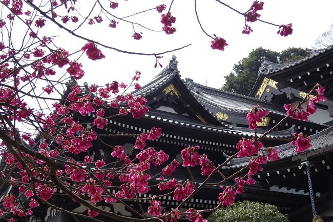 古都鎌倉　大仏、長谷寺、由比ヶ浜、鶴岡八幡宮