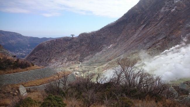 或る日のこと。<br /><br />妻「あのね、3/18に小田原に用事があるんだけど、車で送迎してくれない？」<br />僕「ええっ！？自分で運転してくか電車で行きなよー」<br />妻「そうだよね・・・。じゃあさあ、箱根に前泊でならどう？観光して温泉でもつかって」<br />僕「ええっ！？それで僕を釣ろうってか！」<br /><br />我が家では数年前まで小旅行と言えば箱根、年数回のペースでこれまでに何十回と箱根旅行に行きました。でも正直飽きてしまったため、もう何年も行ってませんでしたが・・・<br /><br />僕「うーん、久しぶりに箱根もいいなあ」<br /><br />ハイ釣られた。と言うことで、やる気のない旅行記タイトルになってしまいましたが、久しぶりの箱根を堪能しました。今回も長いですが、どうぞ最後までお付き合いください。<br /><br />《総走行距離:303.0km》<br /><br />[こちらは 4-1 です]