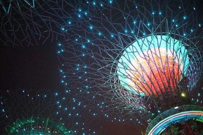 シンガポール乗継１泊観光（ガーデンズバイザベイのナイトショー、マリーナベイサンズ屋上からの夜景、ブギス街歩き）