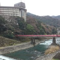 神奈川県 小田原に用事ついでで箱根旅行 (4-3) 箱根湯本駅前の温泉街