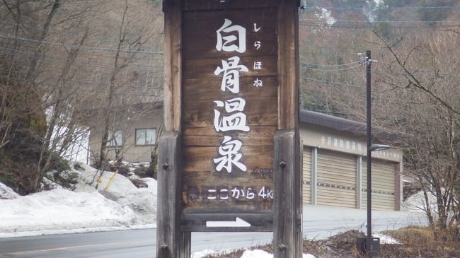 乳白色のお湯で有名な白骨温泉。やっと行くことができました。行くときは雪はほとんどなかったのですが、帰りは今年最後の寒波のおかげで雪景色。おもむきのある旅になりました。料理もおいしかった。