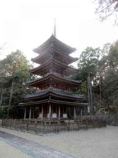 むかしからあるホテルに泊まる旅　海住山寺五重塔(国宝)編