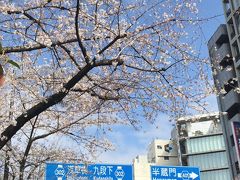 東京メトロ東西線各駅停車の桜だよお花見 、皇居は見頃！神楽坂ランチと〆は木場と東陽町大衆酒場な～りの花見ツアー