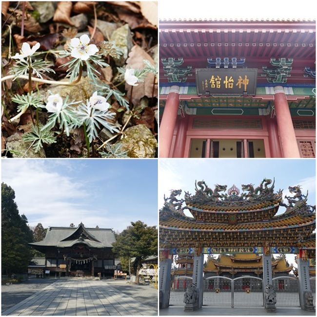 これまで何度か訪ねたことがある埼玉県秩父郡小鹿野町にある「神怡館（しんいかん）」が３月をもって閉館するという情報を得、それではその前に最後の見学をということで友人たちと出かけた。<br /><br />「神怡館」というのは、1982年（昭和57）埼玉県と中国山西省が友好県締結し、その10周年を記念して1992年（平成4) に建てられた埼玉県山西省友好記念館である。<br /><br />神怡館の見学の後は、節分草の自生地「節分草園」、「秩父神社」、「聖天宮」（道教寺院）を回り、帰宅した。最初の計画では「聖天宮」は行く予定になかったが、同行者がおもしろそうだと言うので急遽行くことになった。<br />