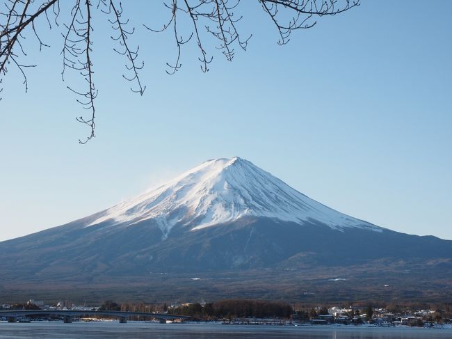 富士山の日に出が見たーい！という娘の一言で厳冬の早朝、富士山へと車を走らせました。<br /><br />本格的ではないけど家族で写真が趣味。<br />久しぶりに３人でドライブです。<br />冬ならではの風景に出会えるでしょうか。<br /><br /><br /><br />