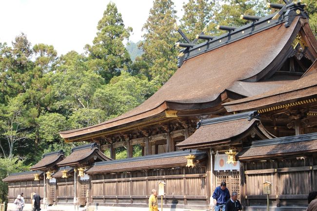 新宮に３泊して、熊野３神社に行った。新宮速玉神社、熊野那智大社、熊野本宮大社の順に回ったが、かなり忙しかった。北海道からなのでかなり新宮に着くのに難儀した。中部国際空港からは、高速船で津まで行き時間を短縮した。新宮では駅のそばに宿をとり、利便性重視の旅であった。若者も多く、外人が目に付いた。新宮に宿をとって正解であった。