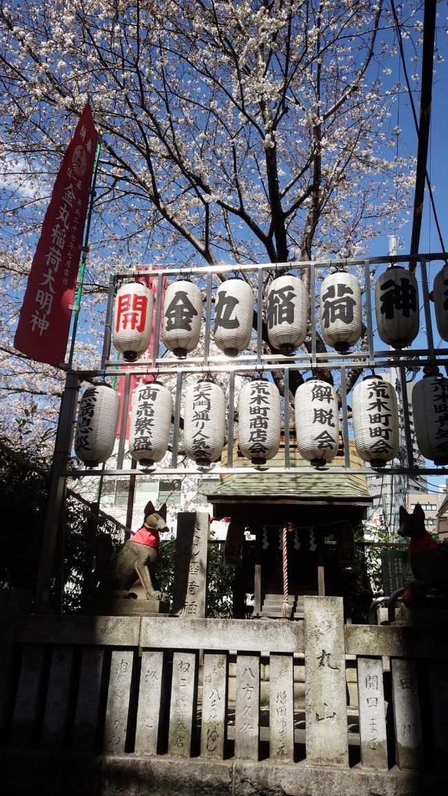 2018年3月23日(金)四谷三丁目の荒木町付近をてくてくお散歩♪っというより、郵便局に行かなければならなかったので、その帰りにちょっと荒木町に寄ってみました。表紙のフォトは荒木公園です。<br />桜が綺麗に咲いていました。<br /><br />昨年、大好きだったドイツ料理のラインガウが閉店してしまい、とてもさみしく思っています。<br />最近、ランチは竿灯に行ったり、わやに行ったりしております。KOUMEに行っていないなぁ。<br />夜はおかげさまとかに行く事があります。<br /><br /><br /><br />