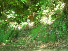 ♪GパンGパンGパンGパンGパンセンターまえむらぁー♪長野、松本な旅