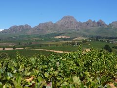 南アフリカ3週間　ドライブ旅行記  ２　素敵なワインナリーへ