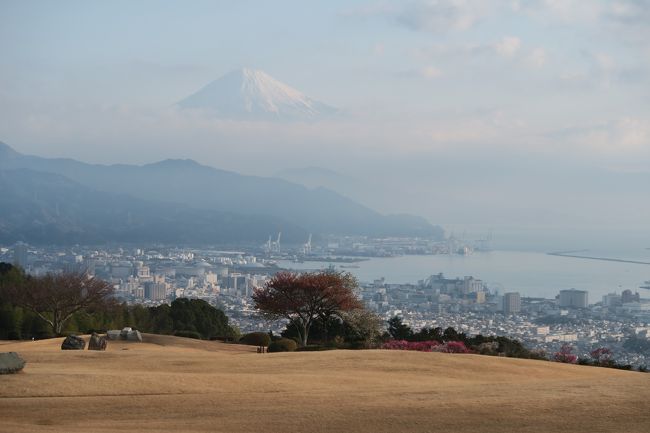 日本平から富士山を見たいと、昨年から思っていました。<br />富士山を見るならやっぱり冬、と思ったら、全然予約が取れない…<br /><br />何とか取れた3月10日に、日本平ホテルに泊まってきました。<br /><br />当日は残念ながら曇り。表紙の1枚は、雲の上から顔を出した一瞬。<br />富士山が見えたのは、この時だけでした。<br /><br />とは言え、静岡駅近くで美味しいレストランに行ったり、楽しい旅行でした。<br /><br />