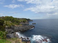 春の伊豆旅行 Vol 13 城ヶ崎海岸 ニューヨークランプミュージアム フラワーガーデン 絶景を眺めながらランチ 伊豆高原 静岡県 の旅行記 ブログ By コトルさん フォートラベル