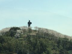 道の駅弥五郎伝説の里の桜を見に行ってみよう       ☆鹿児島県曽於市